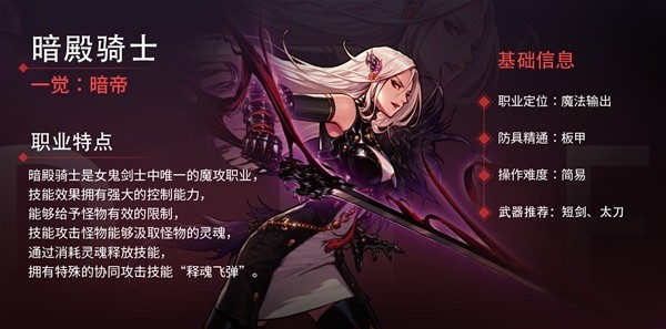《地下城与勇士：起源》女鬼剑各职业介绍