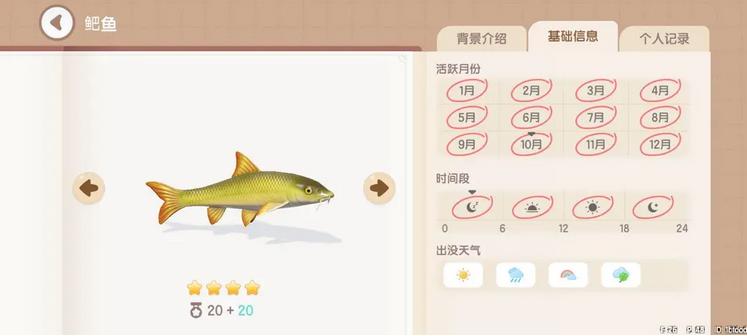 《心动小镇》鲃鱼钓鱼时间地点详细一览
