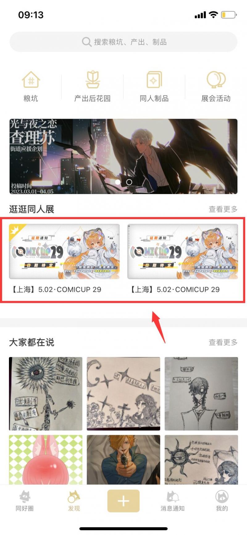《cp29》是什么意思