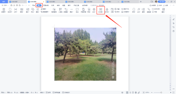 Word文档中如何在图片上添加文字