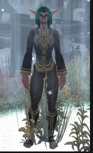 《魔兽世界怀旧服》黑海岸NPC星纹长者