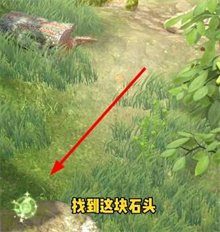 夺笋高手彩蛋有哪些 夺笋高手彩蛋位置汇总