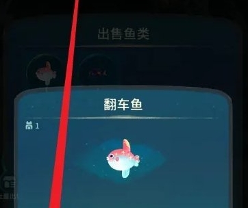 《晚安森林》鱼类出售流程详解
