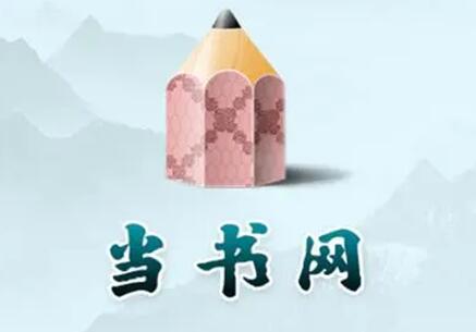 《当书网》打不开的原因分析