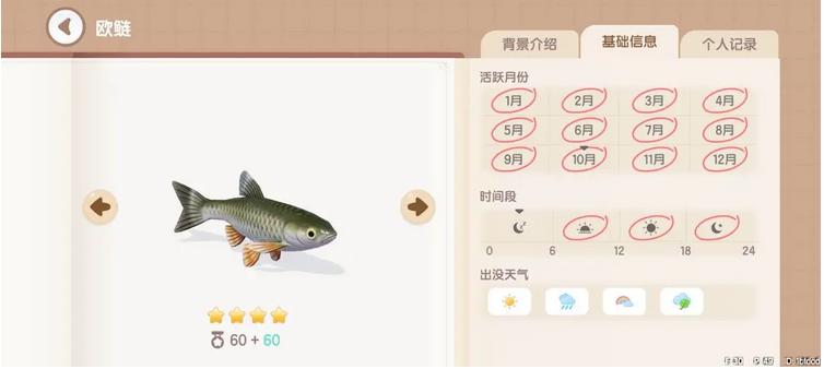 《心动小镇》全鱼类钓取位置条件一览