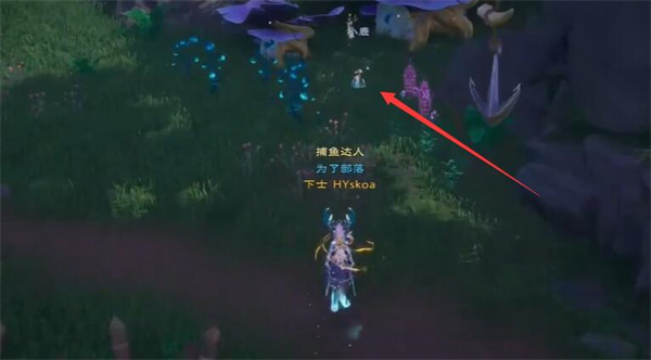 《塔瑞斯世界》迷雾森林宝箱在什么位置