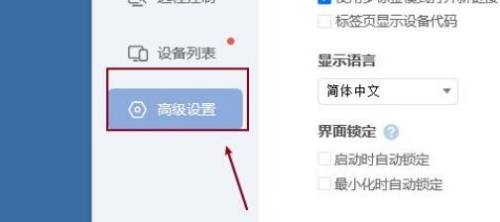 《ToDesk》设置语言操作方法介绍