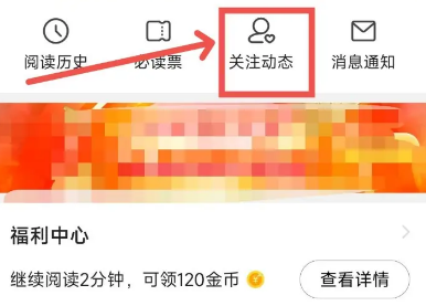 《七猫小说》关注动态在哪查看