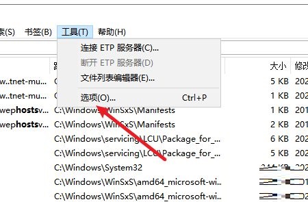 《Everything》以管理员身份运行方法介绍