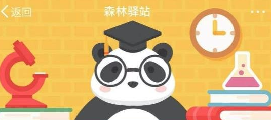 《微博》3月1日森林驿站最新答案